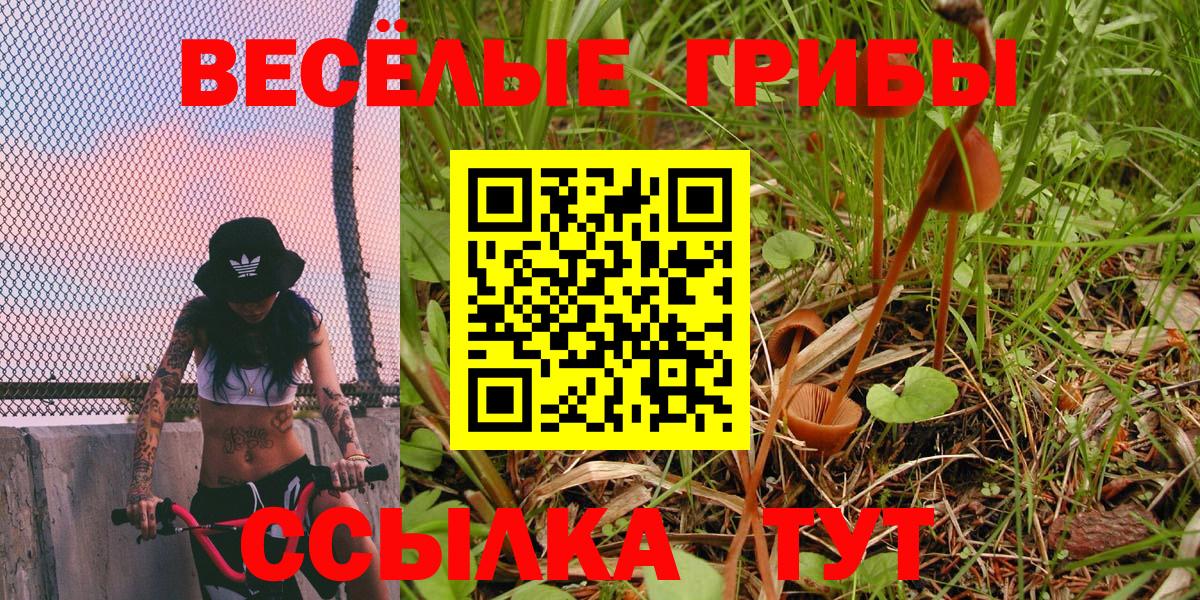 даркнет сайт  Псилоцибиновые грибы Psilocybe  Вход с VPN  Назарово 